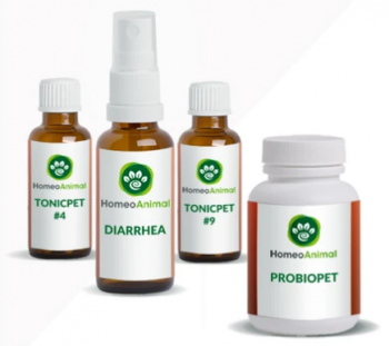 homeopathic remedy for dog diarrhea